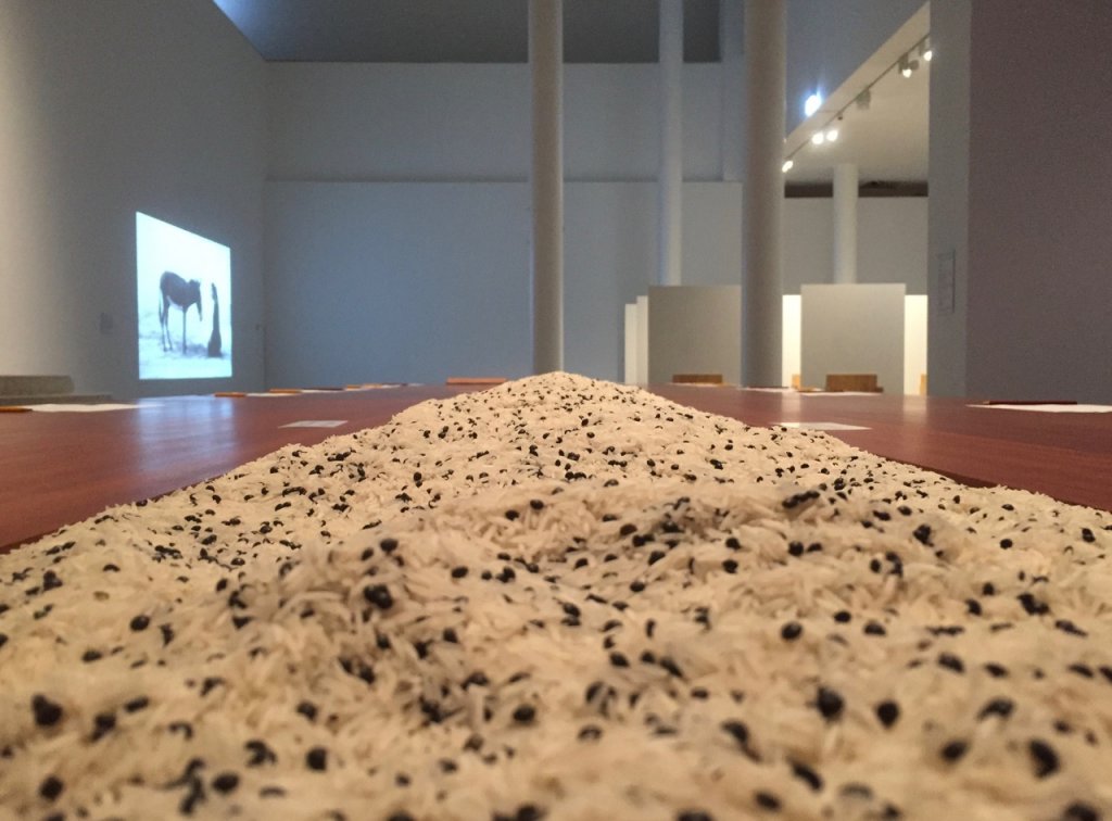 Linsen und Reiskörner in der Ausstellung "The Cleaner" Marina Abramovic, Foto by Doreen Trittel