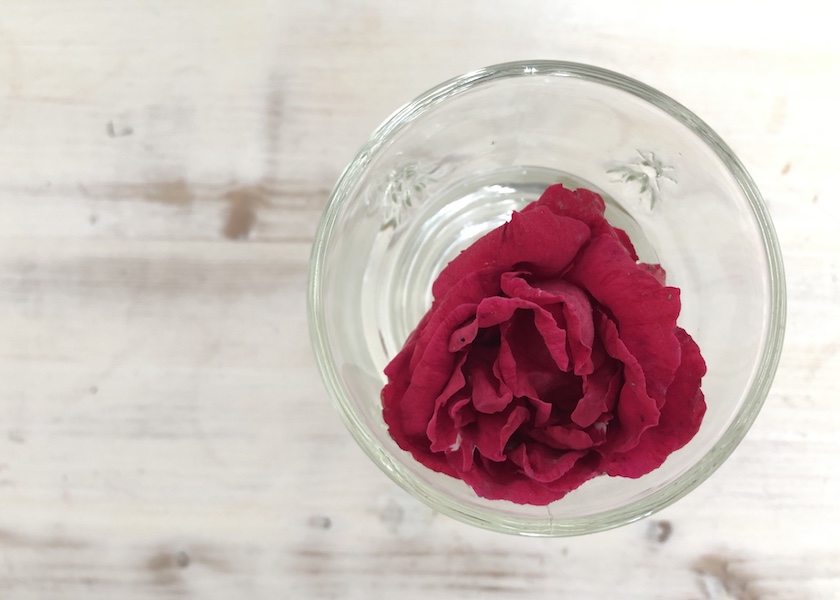 Rote Rose im Glas